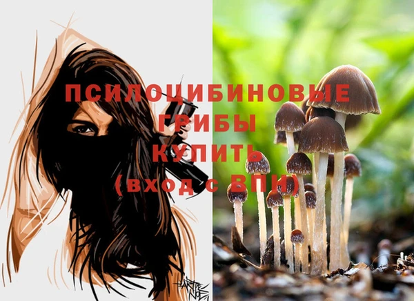 амф Баксан