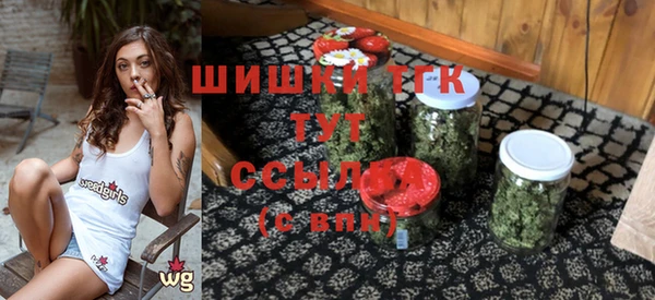 молекула духа Покров