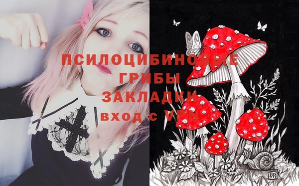 a pvp Балабаново